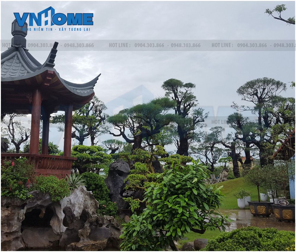 Thiết kế thi công cảnh quan sân vườn đẹp