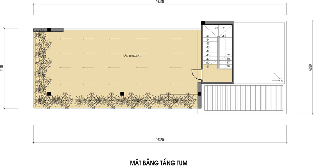 mặt bằng tum mặt bằng tum